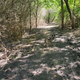 Illustration for article titled Toby exploring Denton, TX
